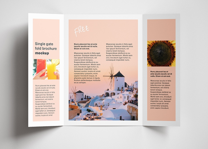 Brochure